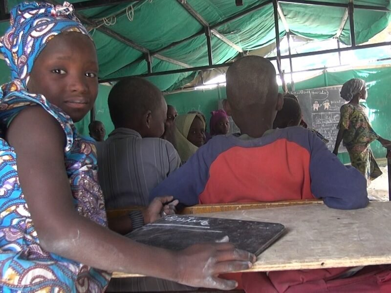 Une écolière à Bosso, dans la région de Diffa, au Niger, en 2017